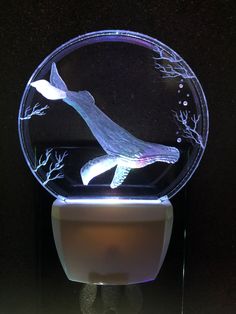 a glass plate with a whale in it