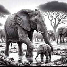 an adult elephant and two baby elephants are in the water with trees behind them, drawing by hand