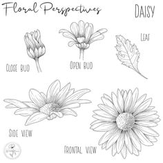 flowers with the words floral properties in black and white