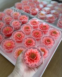 a person holding a flower in front of a tray of cupcakes