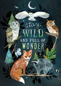 an illustrated book cover with owls and other animals