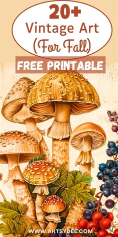 an image of mushrooms and berries with the text, vintage art for fall free printable