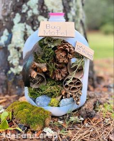 a bottle filled with lots of different types of plants and rocks next to a tree