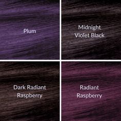 Violet Black Hair, Plum Hair Dye, Dark Plum Hair, Pelo Color Borgoña, Lady Locks, Ombré Balayage