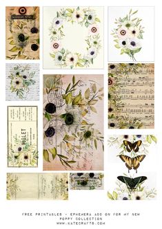 some cards with flowers and butterflies on them, all in different colors are shown together