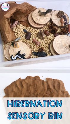 an open box filled with different types of food and words that read hibernation sensory bin