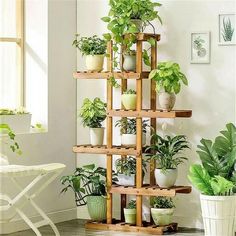 a wooden shelf filled with lots of potted plants