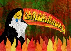 a painting of a toucan sitting on top of a pile of fire and flames