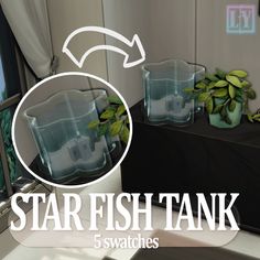 the star fish tank is filled with water and has five glasses on top of it