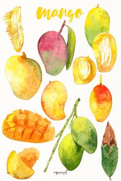 a watercolor painting of mangos and other fruits with the word mango above them