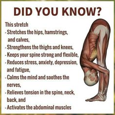 a poster with the words did you know? and an image of a man's muscles