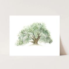 a watercolor painting of a tree in the middle of a white background with green leaves