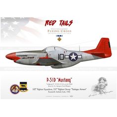 a red, white and blue airplane with the words p - 51d mustang on it