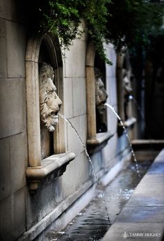 a fountain with water running from it and two lions on the wall next to it