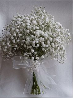 a bouquet of baby's breath tied to a white ribbon on a white background