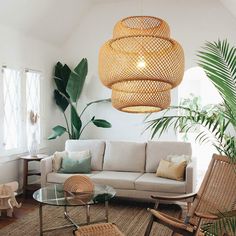 a living room filled with furniture and plants