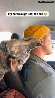 a man in the back seat of a car with a dog on his head