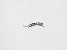 a black and white image of a zebra in the sky with stripes on it's tail