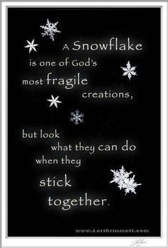 a snowflake is one of god's most fragile creations, but look what they can do when they stick together