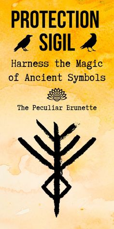 the cover for protection sigil harnesss the magic of ancient symbols, with two birds on top