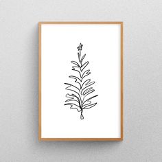 a black and white drawing of a plant on a wall above a wooden framed frame