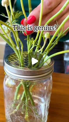 Jeff and Lauren on Instagram: "💐 We love this simple floral arranging trick! Use a fruit bag to create a stabilizing grid! #flowers #floraldesign #florist #tipsandtricks #lifehack" Simple Diy Flower Arrangements, Easy Flower Arrangements Diy, Flower Arrangements For Home, Economics 101, Avant Garden, Fruit Bag, Party Goodies, Garden Hacks