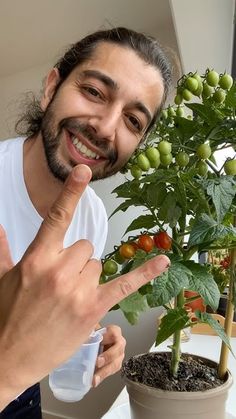 a man pointing at a potted plant with tomatoes on it and another person holding up their finger