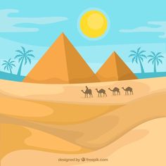 three camels walking in the desert with pyramids and palm trees behind them illustration