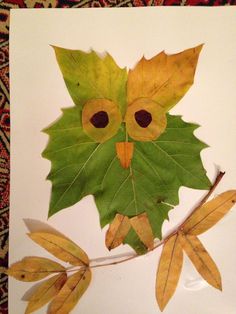 an owl made out of leaves on top of a white surface with brown and green leaves