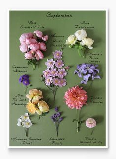 a calendar with different flowers on it