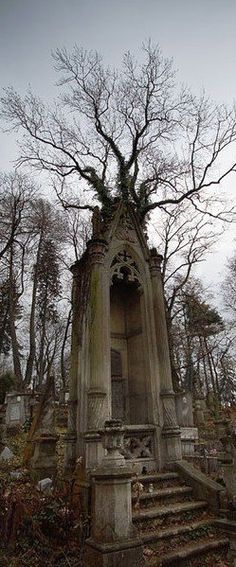 an old cemetery with stairs and trees in the background