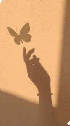 a shadow of a hand holding a butterfly