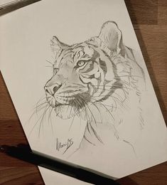 a pencil drawing of a tiger sitting on top of a wooden table next to a pen