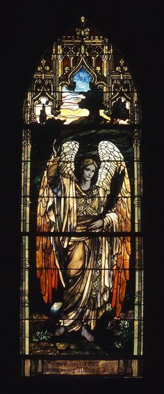 a stained glass window with an angel holding a bird in it's arms and wings