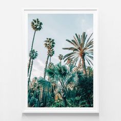 palm trees against a blue sky with white clouds in the background framed in wooden frame