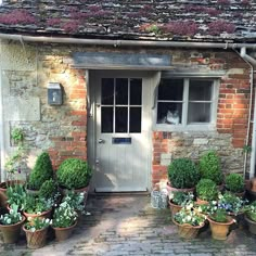 potted plants and flowers in front of a brick building with a white door on the side