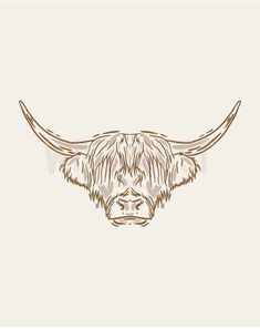 a bull's head with long horns drawn in brown ink on a white background