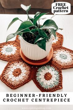 a potted plant sitting on top of a table next to crocheted coasters