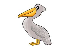 a drawing of a pelican standing on one leg and looking to the side