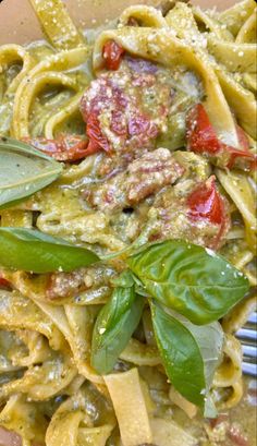 pasta with spinach and tomato sauce on a plate