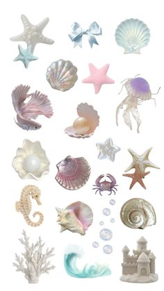 an assortment of seashells and starfish are shown in this image with white background