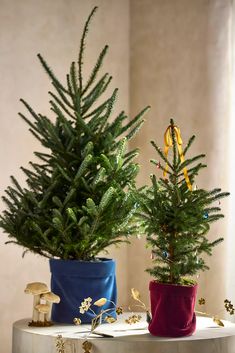 two potted christmas trees sitting on top of a white table next to each other