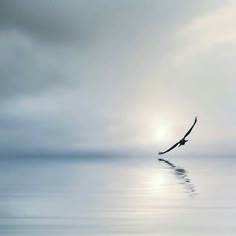 a bird flying over the ocean on a cloudy day