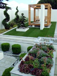 an outdoor garden with various plants and benches