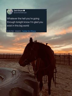 a horse standing next to a car on top of a dirt field at sunset with the caption'whatever the hell you're going through tonight know i'm glad you exist in this big world