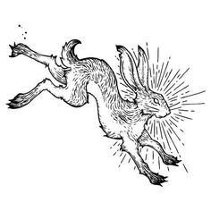 an ink drawing of a bird flying through the air with its wings spread out, vintage line