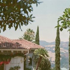 the house is surrounded by palm trees and mountains