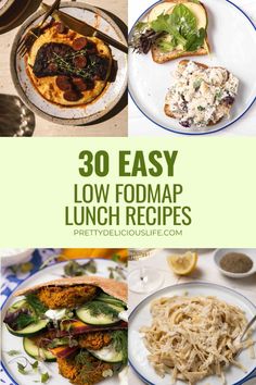 Say goodbye to lunchtime stress with our collection of 30 Easy Low FODMAP Friendly Lunch Recipes! 🥪✨ Whether you're following a low FODMAP diet or simply looking for delicious and digestive-friendly meals, we've got you covered. Everything from vibrant salads to hearty slow cooker meals and flavorful pastas, each recipe is designed to keep your tummy happy without sacrificing taste. Say hello to hassle-free lunches that are easy on the stomach and big on flavor. Get ready to enjoy lunchtime like never before! Low Fodmap Easy Snacks, Fodmap Lunch Ideas Easy, Easy Low Fodmap Lunch Ideas, Meals For Ibs Sufferers, Low Fodmap Lunch For Work, Low Fodmap Recipes Lunch, Low Fodmap Slow Cooker Recipes, Ibs Friendly Meals, Fodmap Recipes Lunch