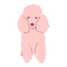 a pink poodle sitting down with its eyes closed