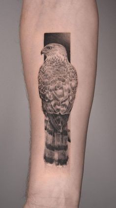 a black and white photo of a bird on the right thigh, with an image of a hawk behind it